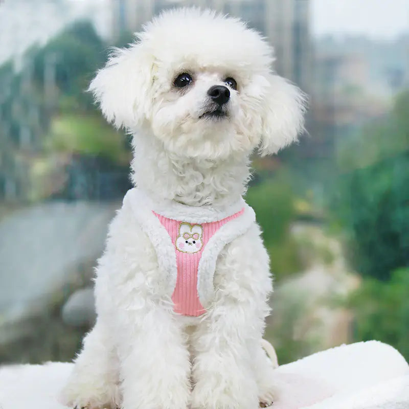Pet Vest Harness