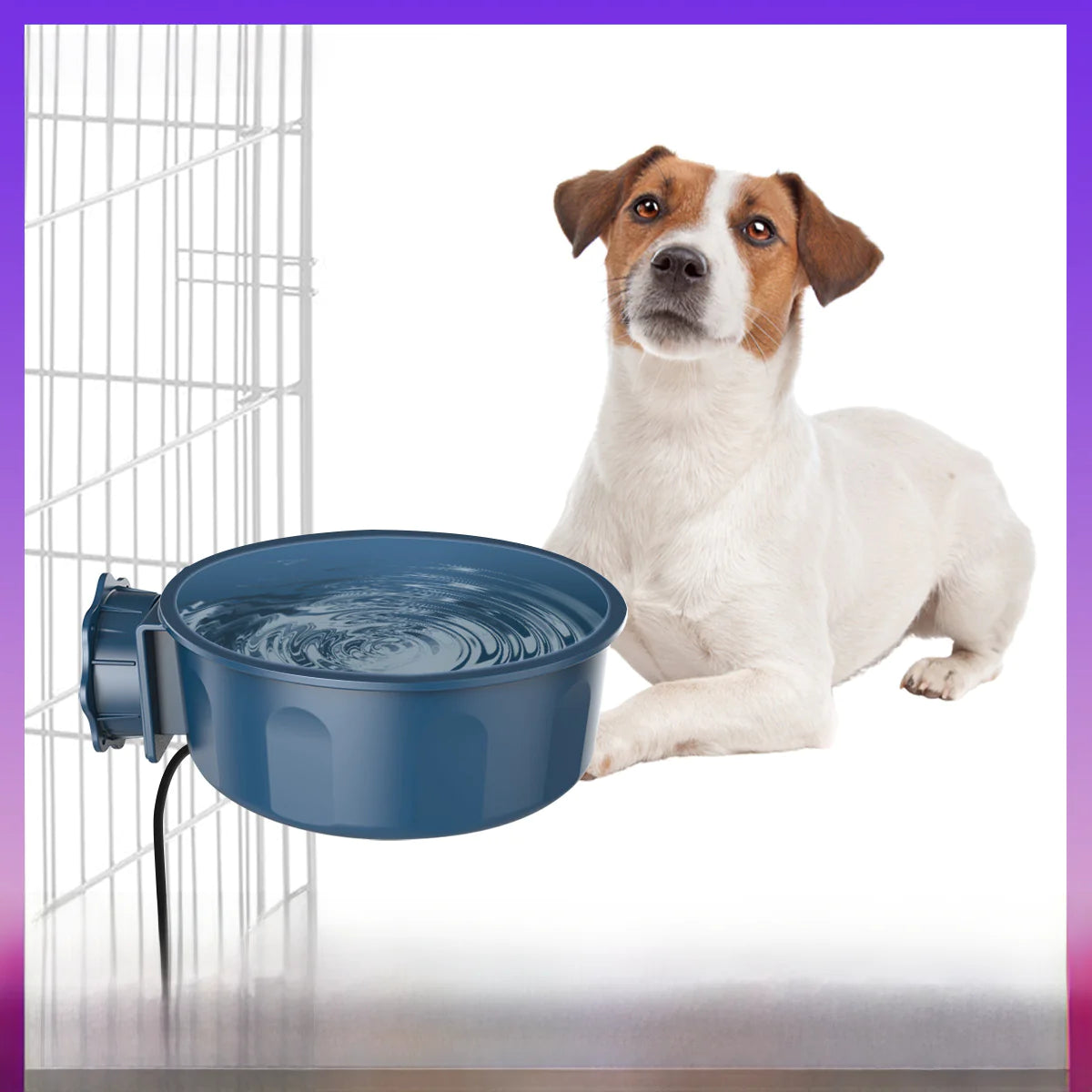 Pet Supplies Heated Food and Water Bowl for Dogs
