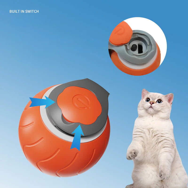 Interactive Cat Toy Ball