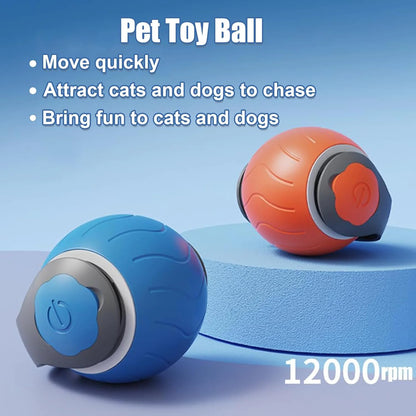 Interactive Cat Toy Ball